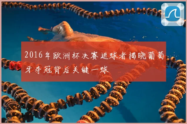 2016年欧洲杯决赛进球者揭晓葡萄牙夺冠背后关键一球
