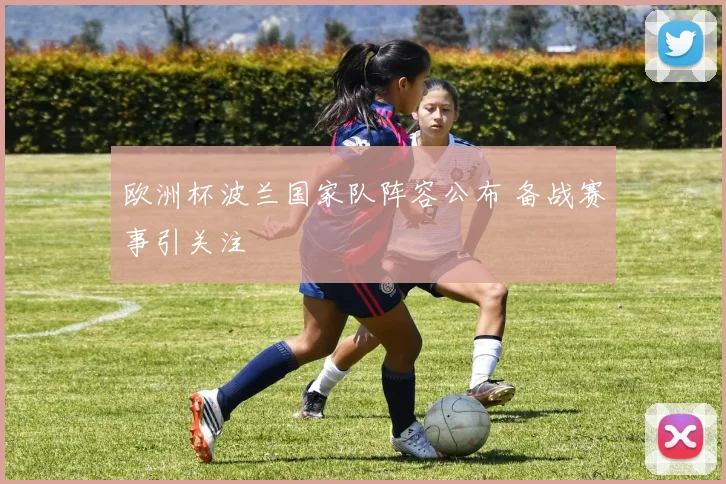 欧洲杯波兰国家队阵容公布 备战赛事引关注